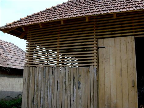 csur3.jpg